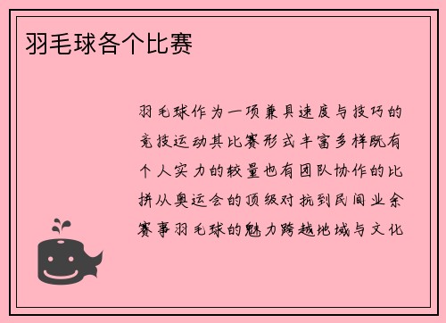 羽毛球各个比赛
