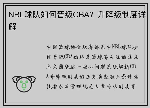 NBL球队如何晋级CBA？升降级制度详解